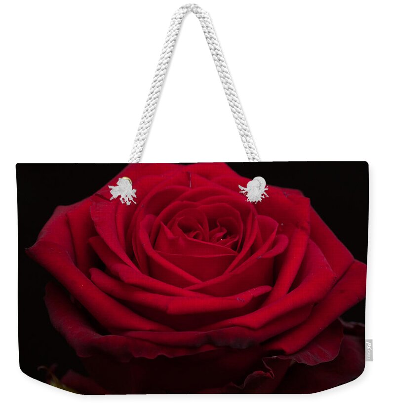 Miguel Weekender Tote Bag featuring the photograph Roses are Red #2 by Miguel Winterpacht