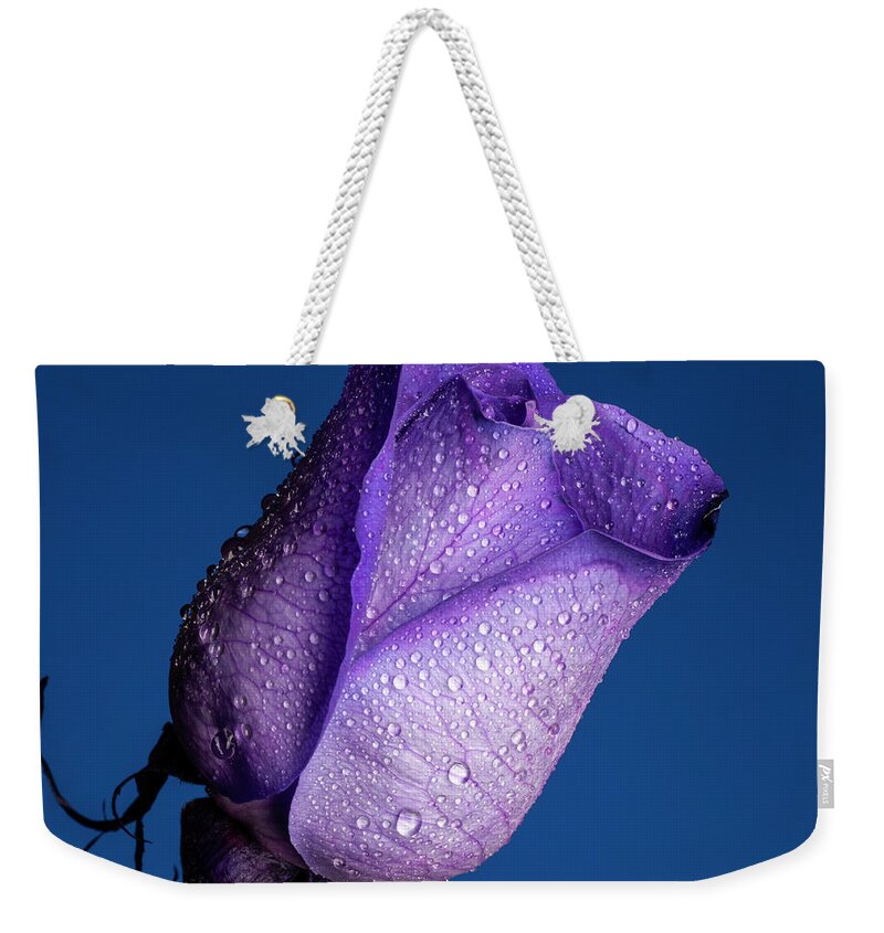 Purple Weekender Tote Bag featuring the photograph Royalty #1 by Doug Norkum