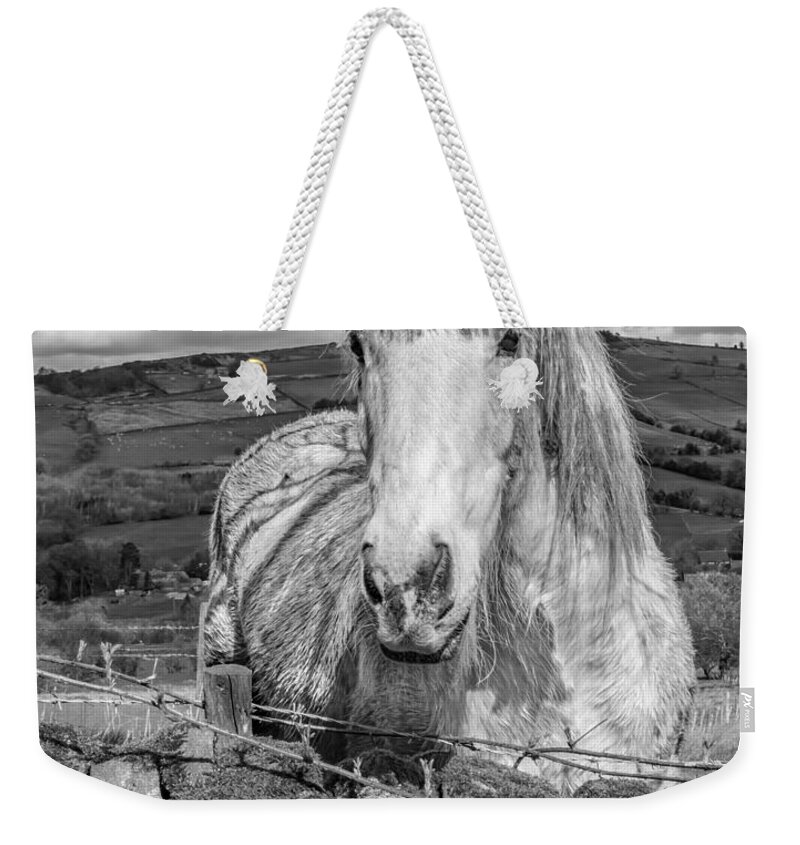 Birds & Animals Weekender Tote Bag featuring the photograph Rustic Horse #1 by Nick Bywater
