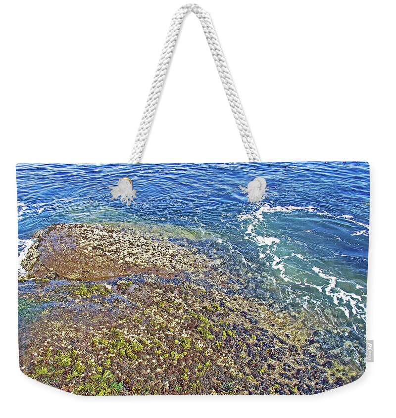 Sea Life On The Rocks In Salt Creek Recreation Area Weekender Tote Bag featuring the photograph Sea Life on the Rocks in Salt Creek Recreation Area on Olympic Peninsula, Washington #1 by Ruth Hager