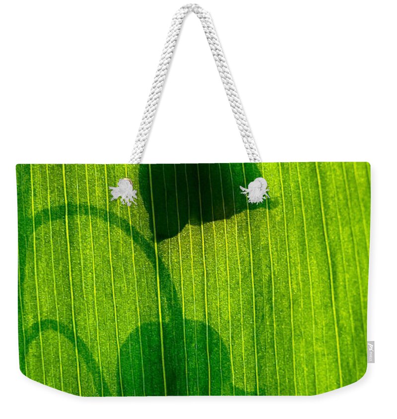 Nature Weekender Tote Bag featuring the photograph Shadow #1 by Odon Czintos