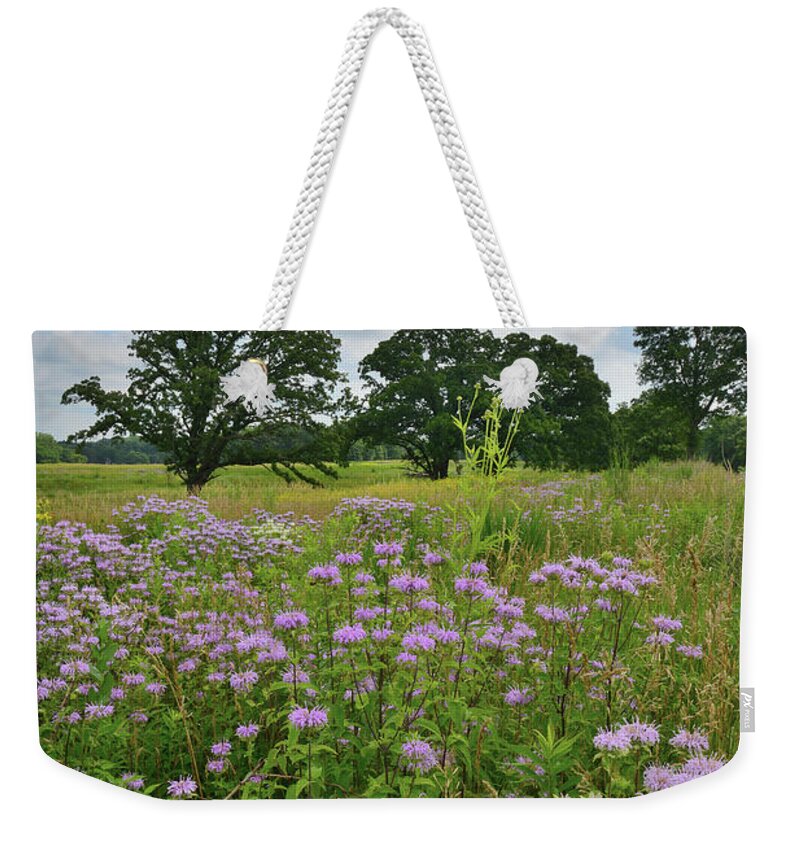 Silver Creek Conservation Area Weekender Tote Bag featuring the photograph Silver Creek Conservation Area #1 by Ray Mathis