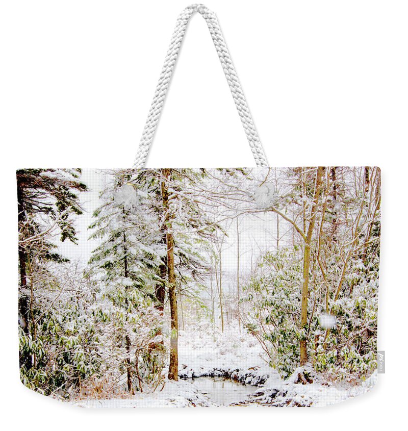 Stream Weekender Tote Bag featuring the photograph Small Mountain Stream in Winter #1 by A Macarthur Gurmankin