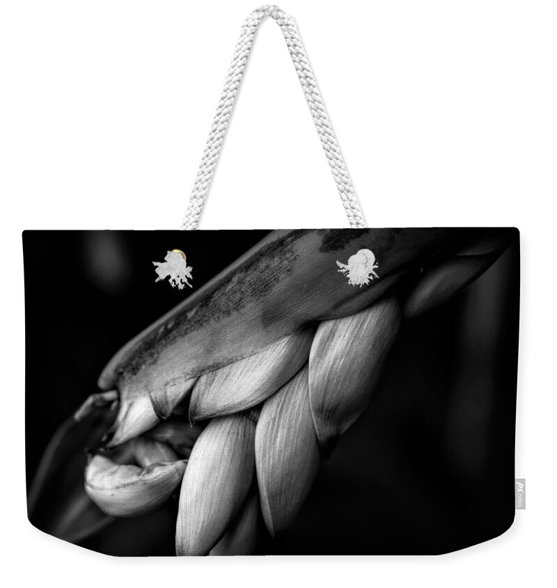 Black & White Photos Weekender Tote Bag featuring the photograph Softness #2 by Heidi Fickinger