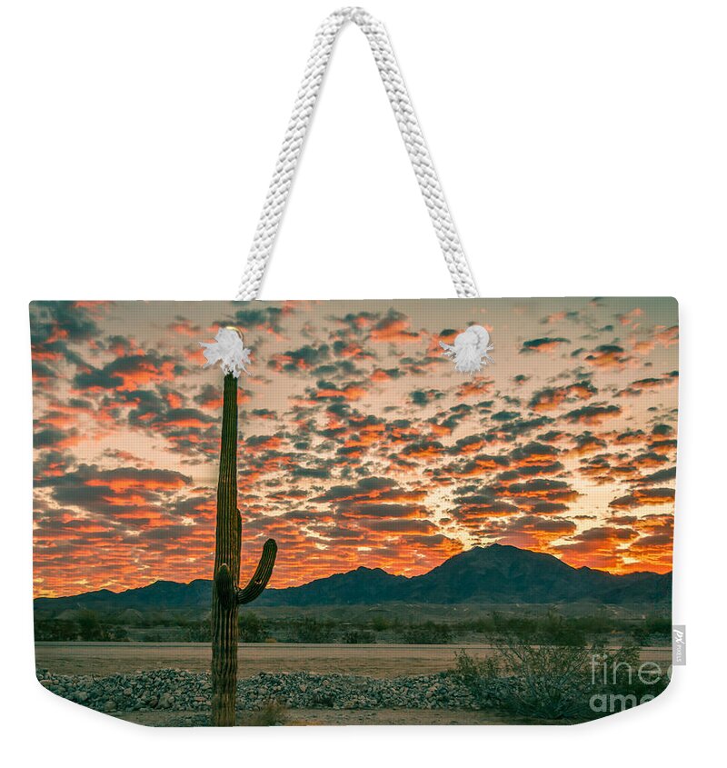 Saguaro Weekender Tote Bag featuring the photograph Sonoran Sunrise #1 by Robert Bales