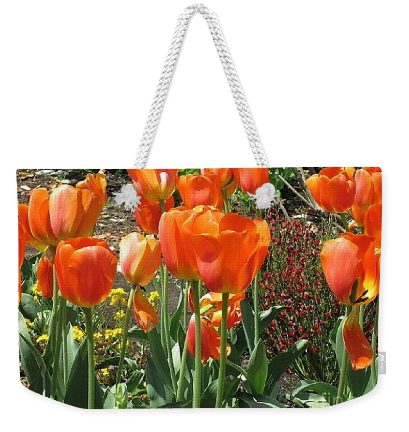 Photography Weekender Tote Bag featuring the photograph Standing Tall #1 by Kathie Chicoine
