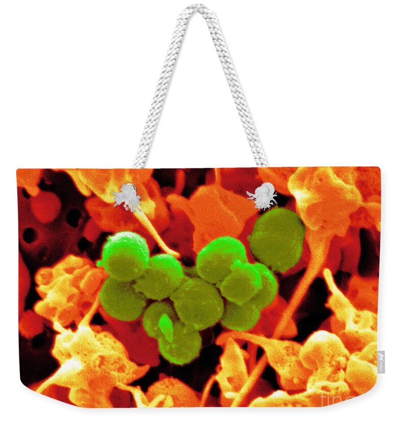 Platelets Weekender Tote Bag featuring the photograph Staphylococcus Epidermidis Bacteria #1 by Scimat