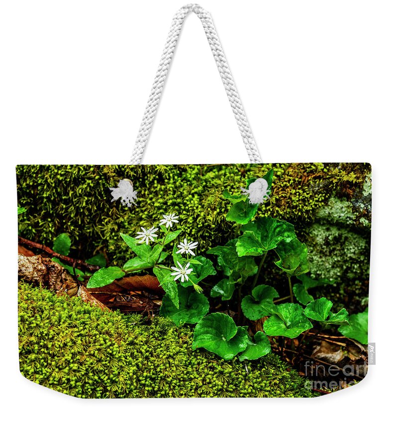 Star Chickweed Weekender Tote Bag featuring the photograph Star Chickweed Mossy Rock #1 by Thomas R Fletcher
