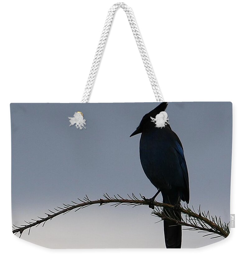 Stellars Jay Weekender Tote Bag featuring the photograph Stellar on a Branch #1 by Kathleen Voort