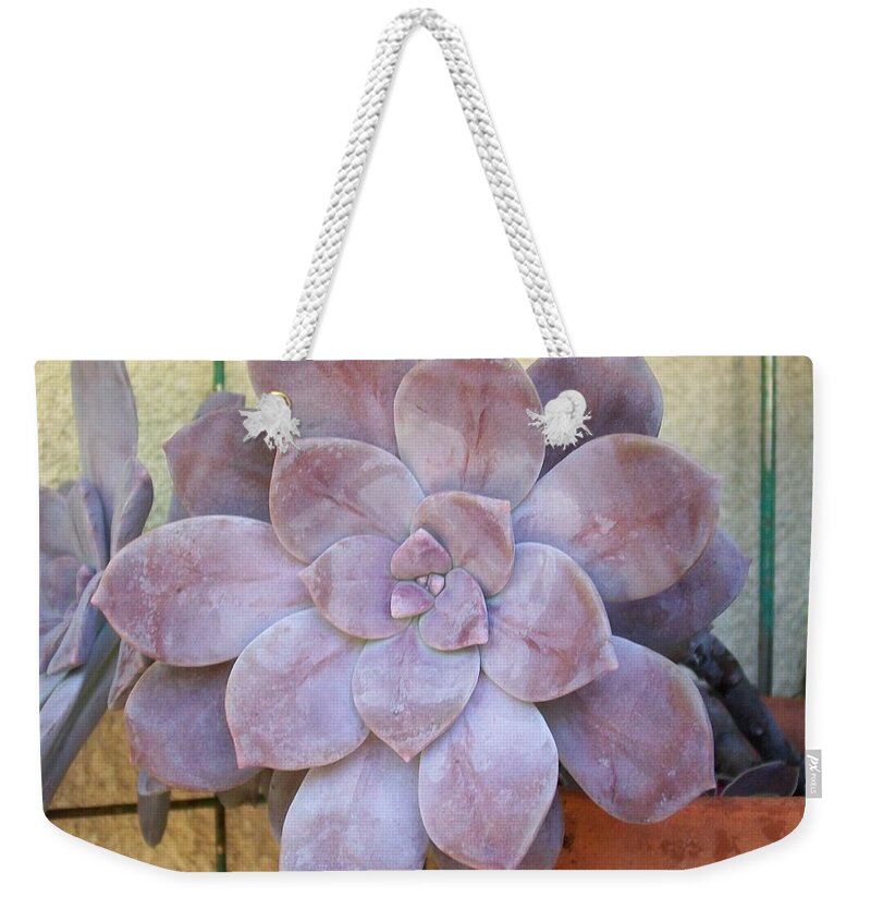 Stone Weekender Tote Bag featuring the photograph Stone Flower #1 by Laurette Escobar