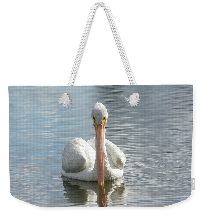 American White Pelican Weekender Tote Bag featuring the photograph Straight On #1 by Fraida Gutovich