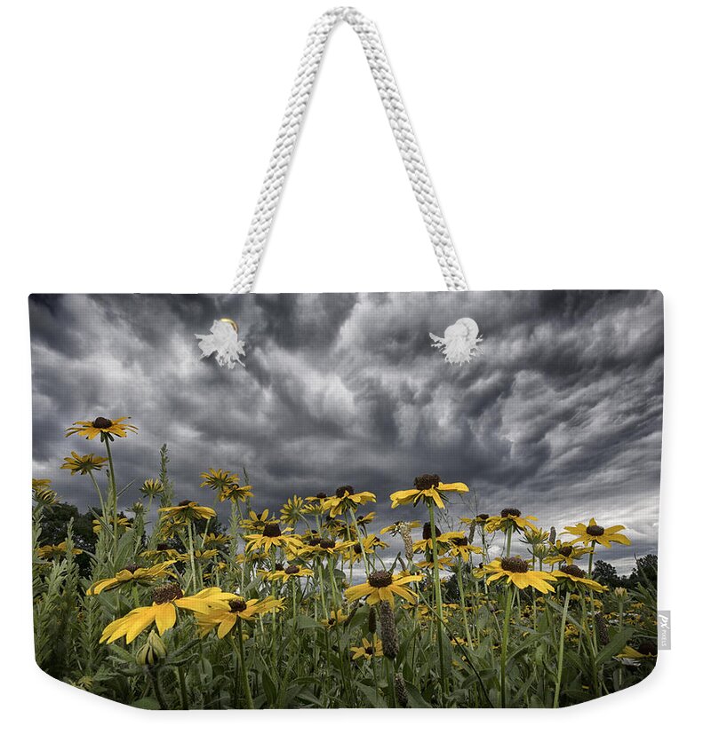 Maryland Weekender Tote Bag featuring the photograph Summer Storm #1 by Robert Fawcett