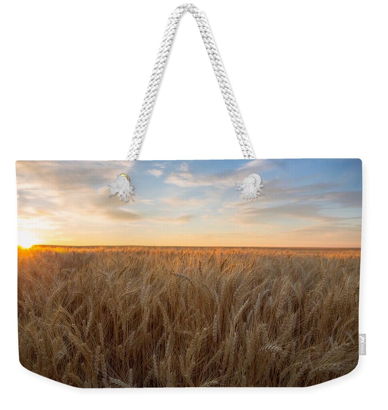 Summer Wheat Weekender Tote Bag featuring the photograph Summer wheat #2 by Lynn Hopwood