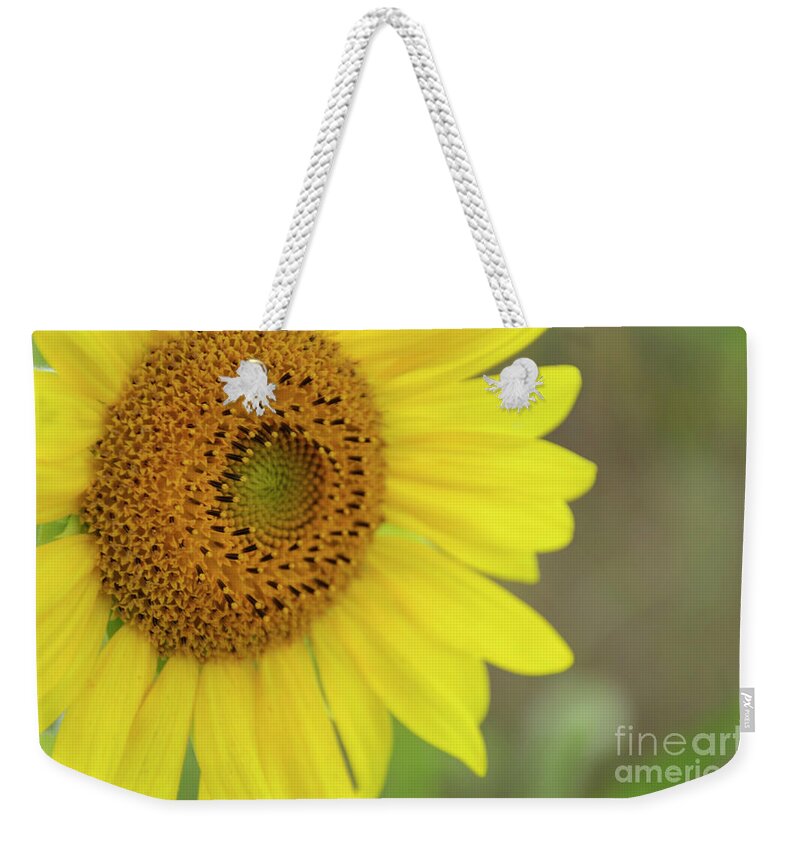 Sunflower Weekender Tote Bag featuring the photograph Sunflower #1 by Debra Fedchin