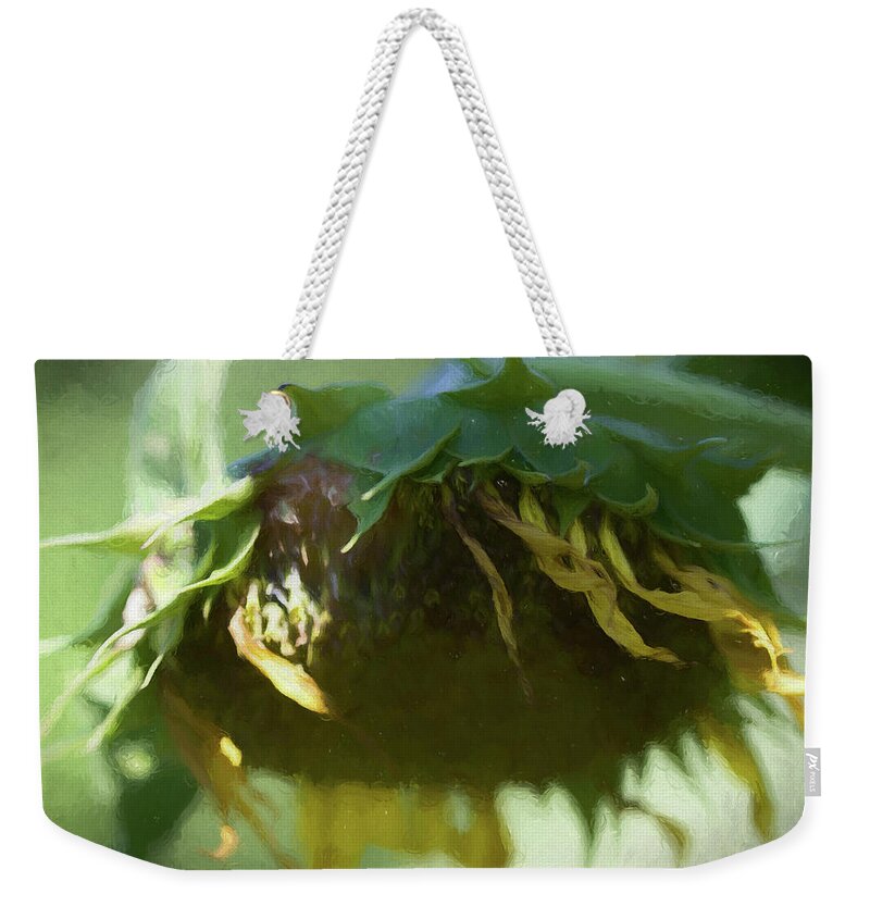 Sunflower Weekender Tote Bag featuring the photograph Sunflower #1 by Kathy Clark