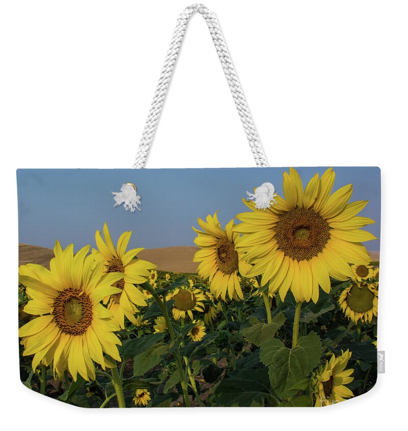 Sunflowers Weekender Tote Bag featuring the photograph Sunflowers in the Palouse #2 by John Greco