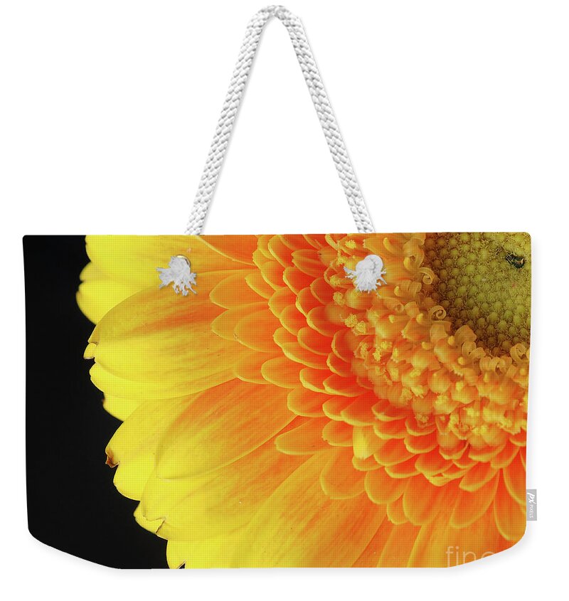 Closeup Weekender Tote Bag featuring the photograph Sunny #1 by Andreas Berheide