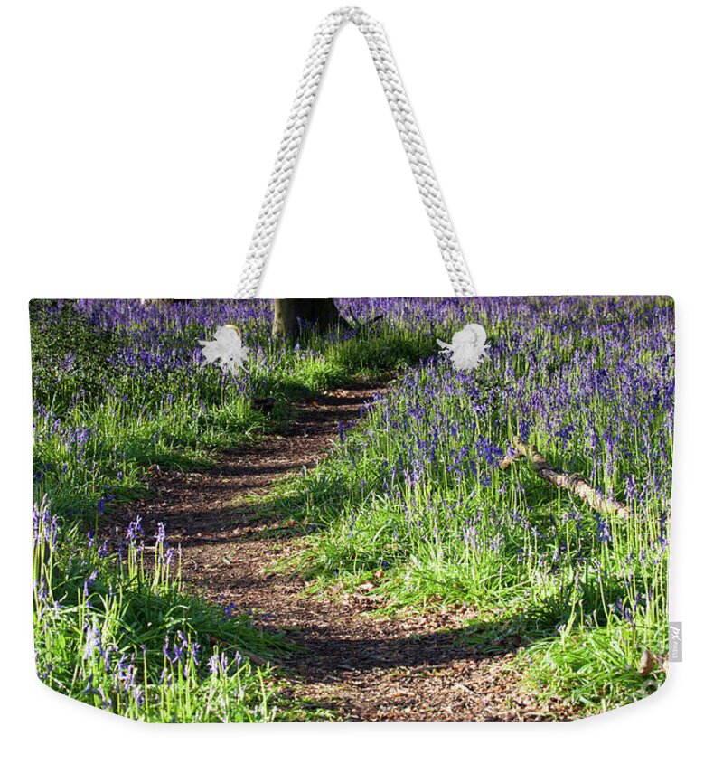 Norfolk Weekender Tote Bag featuring the photograph Norfolk, England sunrise path through bluebell woods by Simon Bratt