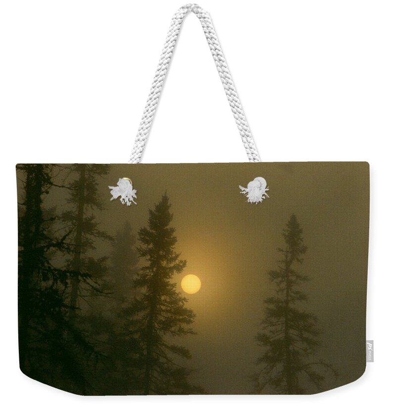 Sunrise Weekender Tote Bag featuring the photograph Sunrise Through The Fog 2 #2 by Janice Adomeit