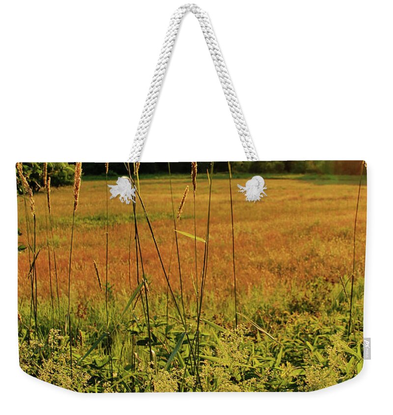 Sunset Weekender Tote Bag featuring the photograph Sunset Field #2 by Doolittle Photography and Art