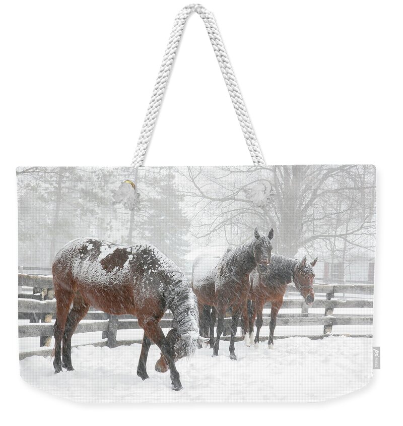 Horses Weekender Tote Bag featuring the photograph Tails to the Wind #1 by Gary Hall