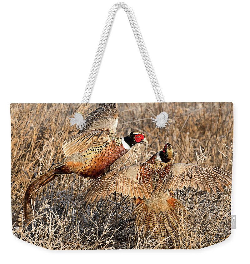 Bird Weekender Tote Bag featuring the photograph Territorial Dispute #1 by Dennis Hammer