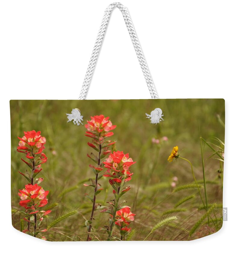 Texas Hill Country Weekender Tote Bag featuring the photograph Texas Paintbrush by Frank Madia