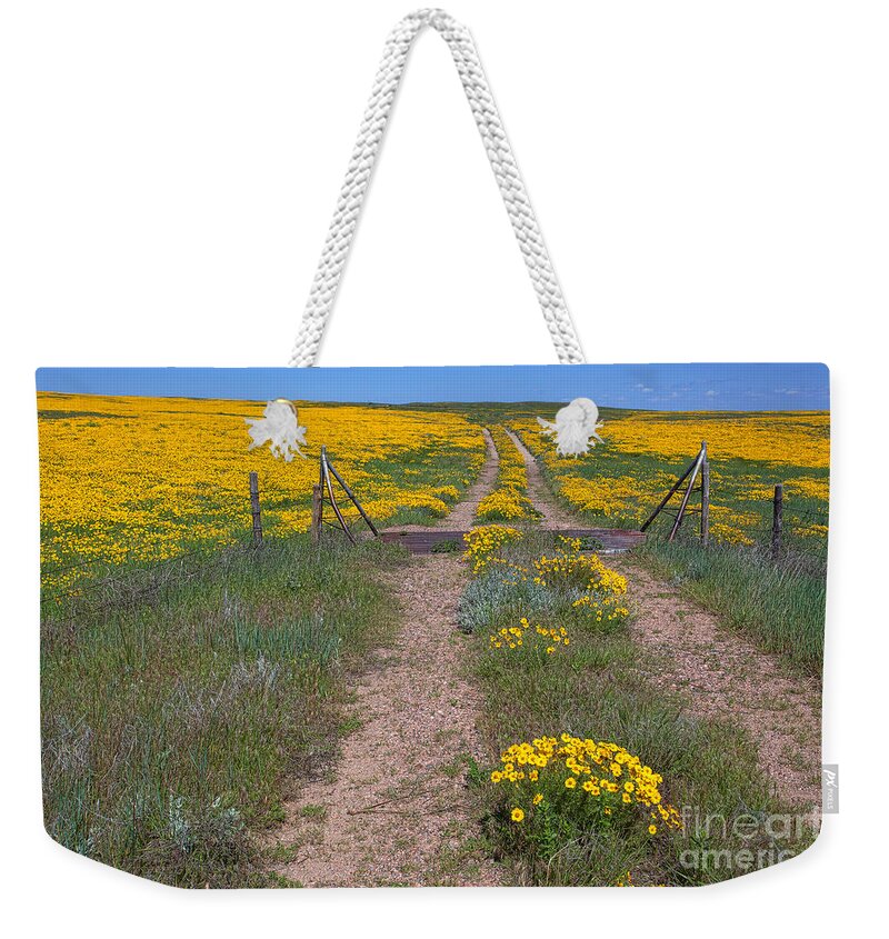 Yellow Wildflowers Weekender Tote Bag featuring the photograph The Golden Gate by Jim Garrison