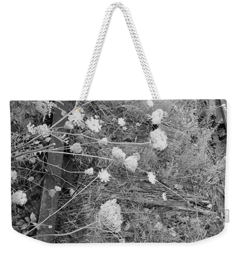 The High Line Weekender Tote Bag featuring the photograph The High Line 193 #1 by Rob Hans
