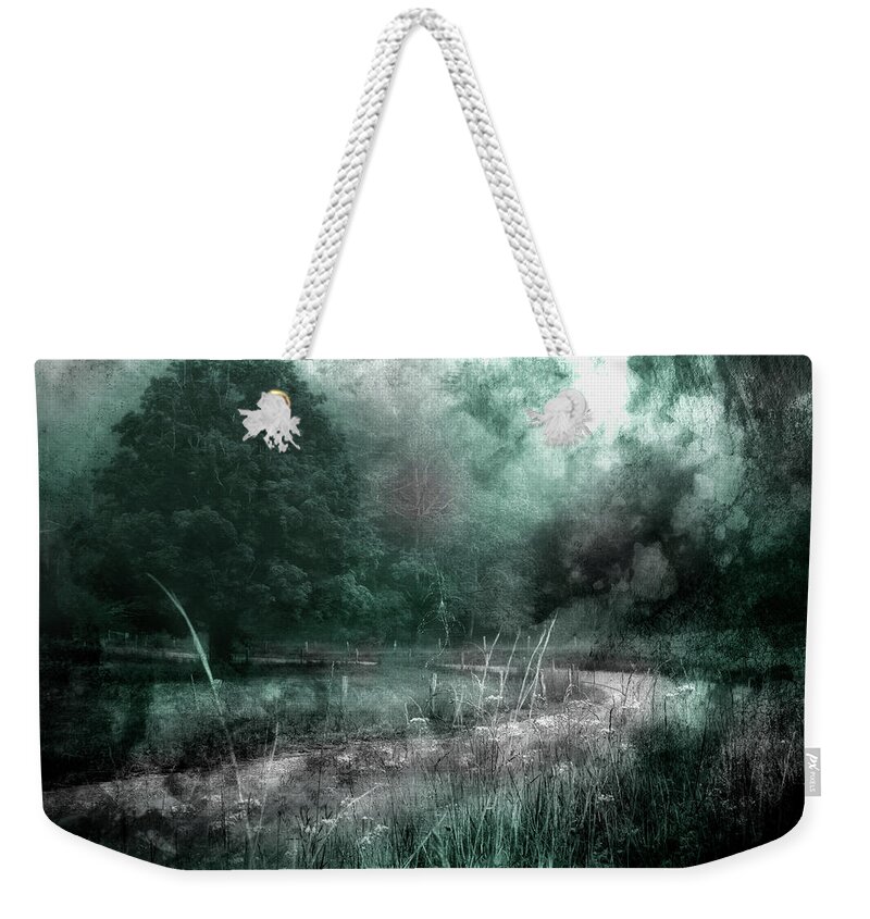 Road Weekender Tote Bag featuring the photograph The Road Less Traveled #1 by Mike Eingle