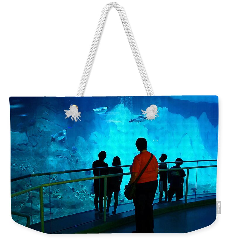 Penguins Weekender Tote Bag featuring the photograph The View Down Under - 2 by CHAZ Daugherty