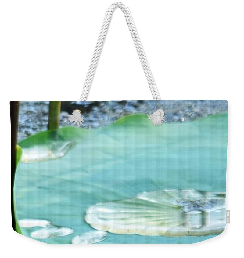 Bayou Weekender Tote Bag featuring the photograph They Say #1 by John Glass