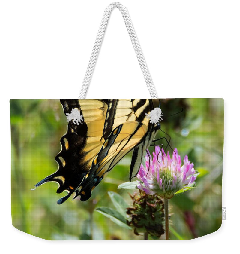 Butterfly Weekender Tote Bag featuring the photograph Tiger Swallowtail Butterfly by Holden The Moment