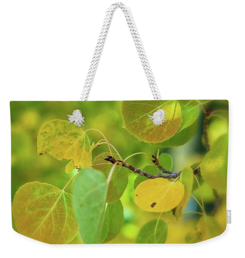 Fall Weekender Tote Bag featuring the photograph Transition #2 by Jonathan Nguyen