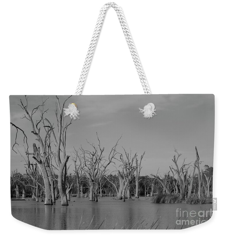Trees Weekender Tote Bag featuring the photograph Tree Cemetery #1 by Douglas Barnard