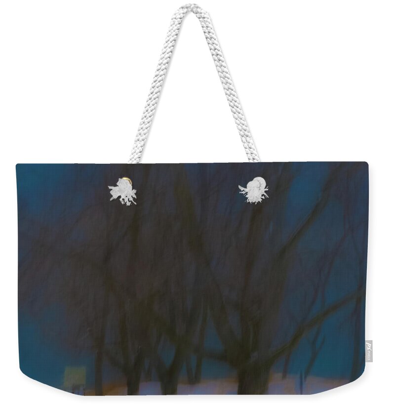 Camera Motion Weekender Tote Bag featuring the photograph Tree Dreams #1 by Stewart Helberg