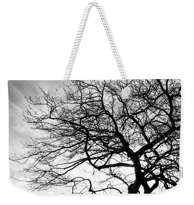 Tree Weekender Tote Bag featuring the photograph Tree Silhouette #1 by Roseanne Jones
