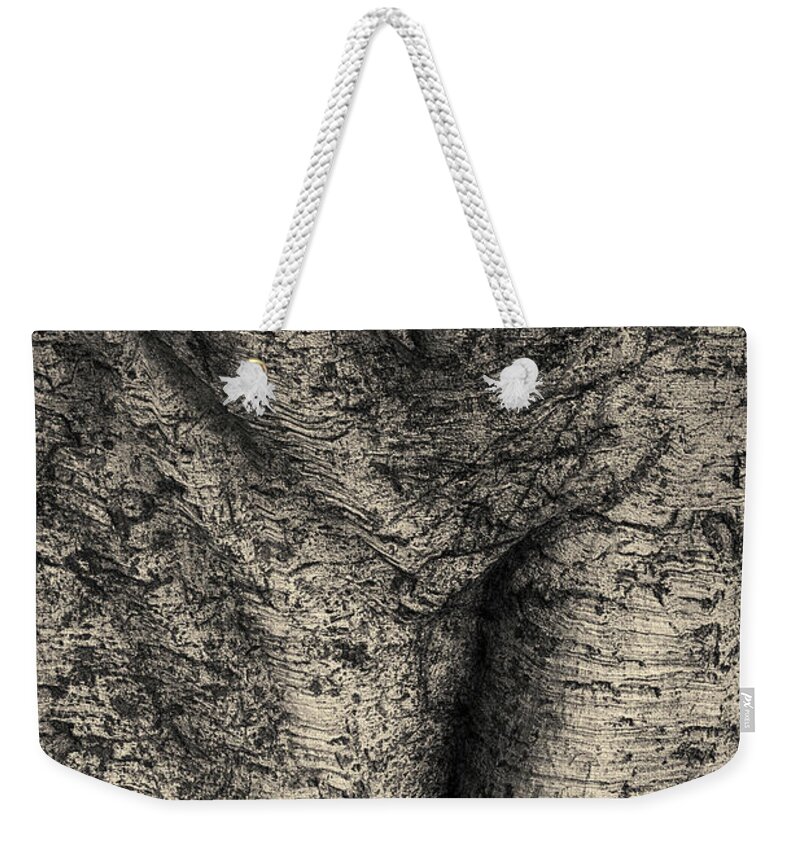 Tree Weekender Tote Bag featuring the photograph Tree Trunk I Toned by David Gordon