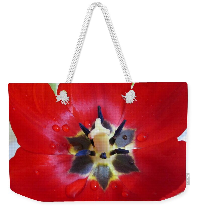 Orchid Weekender Tote Bag featuring the photograph Tulip #1 by Cesar Vieira