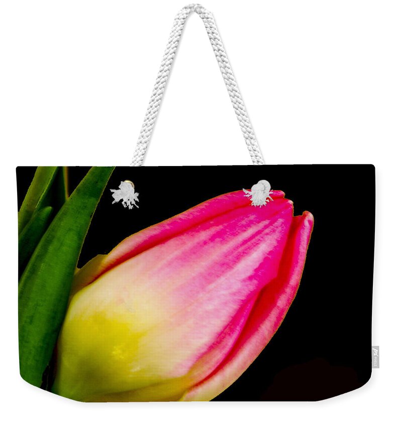  Yellow Weekender Tote Bag featuring the photograph Tulip #2 by Dennis Dugan