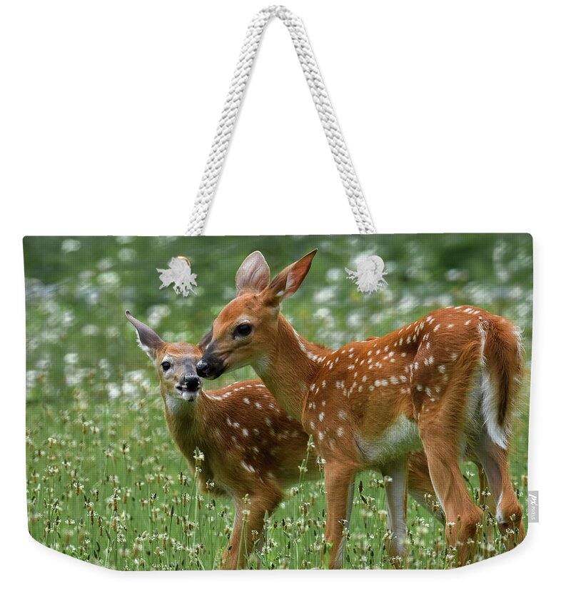 Twins Weekender Tote Bag featuring the photograph Twins by Amy Porter