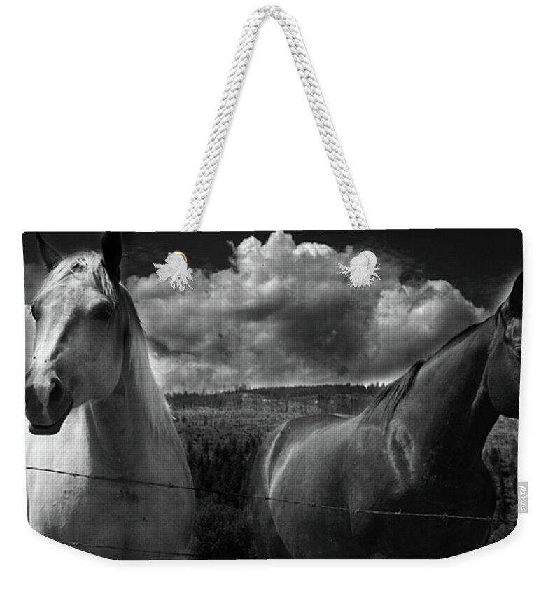 Rural Weekender Tote Bag featuring the photograph Us #1 by J C