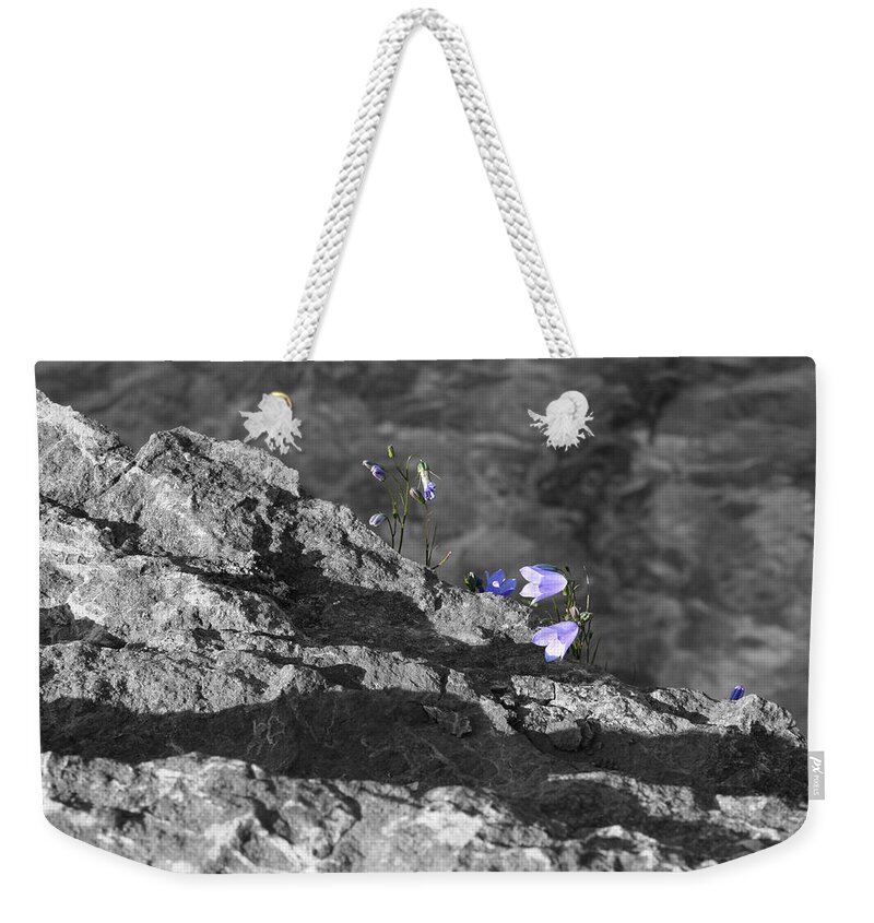 Desaturation Weekender Tote Bag featuring the photograph Violescence by Dylan Punke