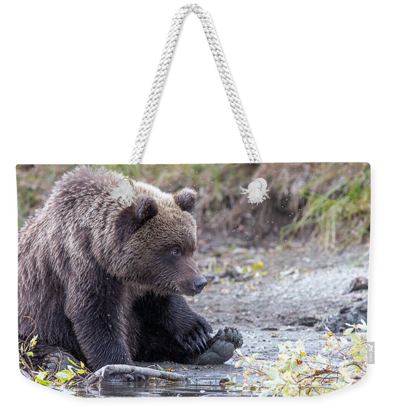 2015 Weekender Tote Bag featuring the photograph Waiting #1 by Kevin Dietrich