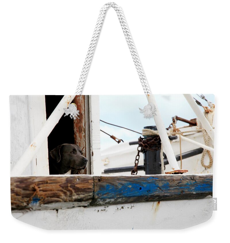 Dog Weekender Tote Bag featuring the photograph Waiting on his best friend by Toni Hopper