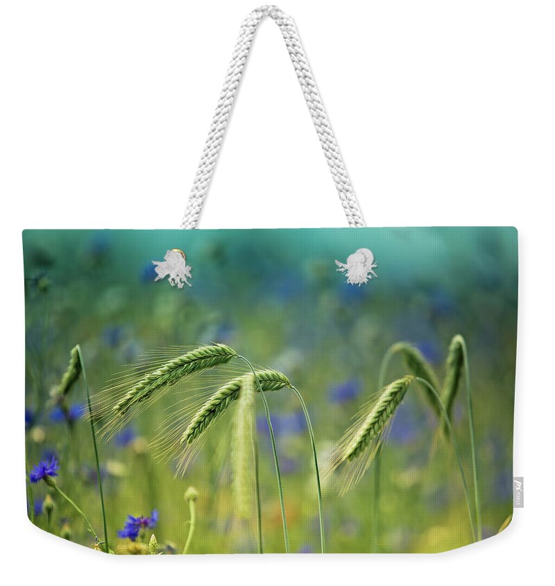 Wheat Weekender Tote Bag featuring the photograph Wheat And Corn Flowers by Nailia Schwarz