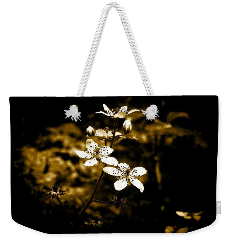 Flower Weekender Tote Bag featuring the photograph White flowers #1 by Ryan Cruse