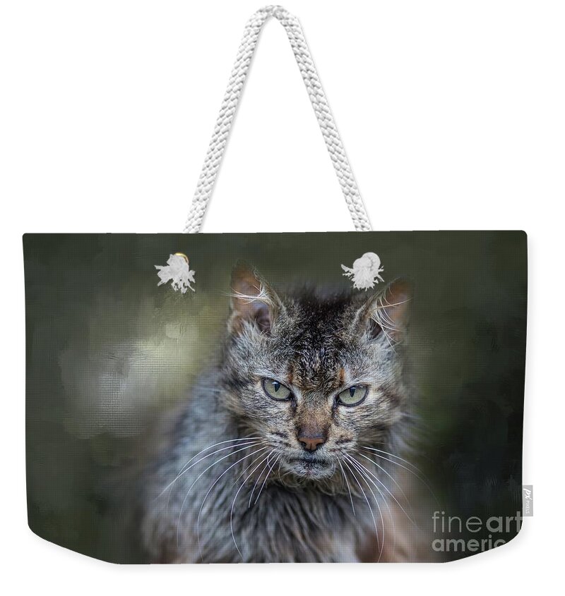 Wild Cat Weekender Tote Bag featuring the photograph Wild Cat Portrait #2 by Eva Lechner