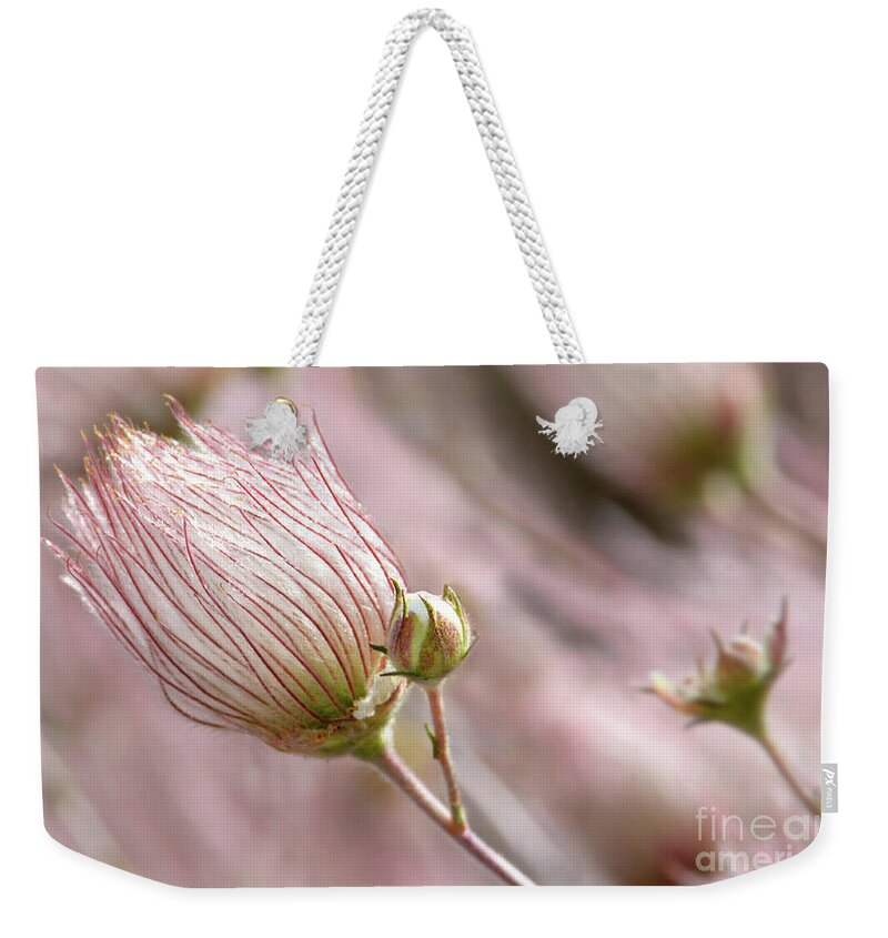 Flower Weekender Tote Bag featuring the photograph Windy #1 by Dan Holm