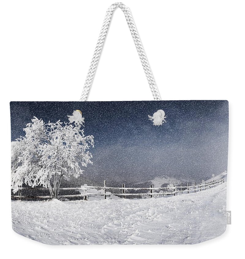 Winter Weekender Tote Bag featuring the digital art Winter #1 by Maye Loeser